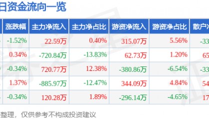 股票行情快报：泰山石油（000554）1月21日主力资金净买入22.59万元