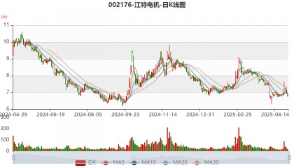 江特电机：2024年亏损3.19亿元