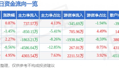 股票行情快报：三江购物（601116）3月5日主力资金净买入737.57万元