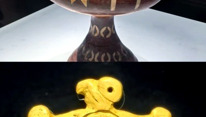 星纹币(行文标准格式)