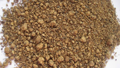 菜粕现货(菜粕 现货)