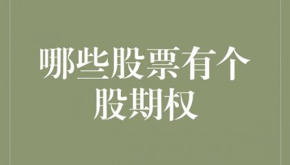 国内个股期权有哪些股票？