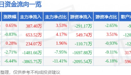 股票行情快报：三江购物（601116）4月29日主力资金净买入387.40万元
