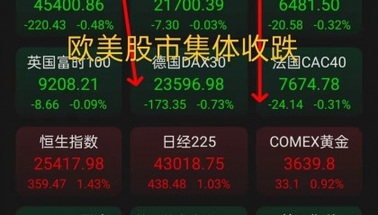 麦奇币行情(麦奇数位股份有限公司)