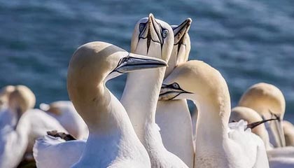 农业银行首次超越工商银行，登顶A股市值冠军