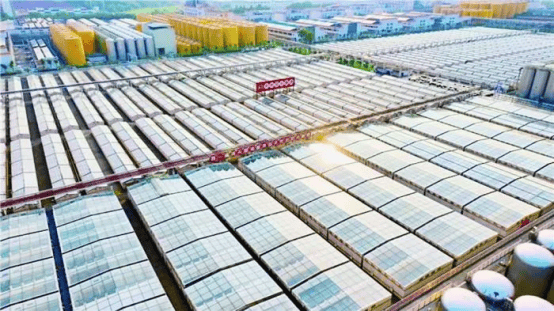 海天味极鲜鲜韵悠长,解码海天味业的传奇征程