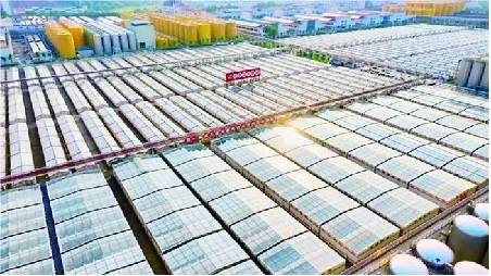 走进海天味业探寻“鲜”味之源,领略调味品龙头海天酱油风采