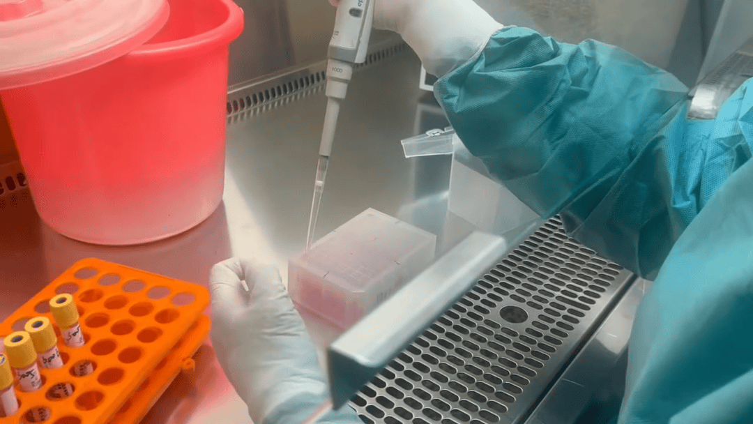 一地提示佛山返回人员需隔离14天 专家：感染基孔肯雅热建议住院 回家易传给家人