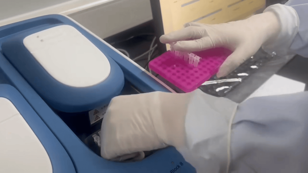 一地提示佛山返回人员需隔离14天 专家：感染基孔肯雅热建议住院 回家易传给家人