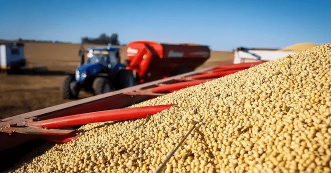 罕见一幕！印度为啥破天荒大量进口中国豆油？莫迪想要跟着美国跑，但是却离不开中国！