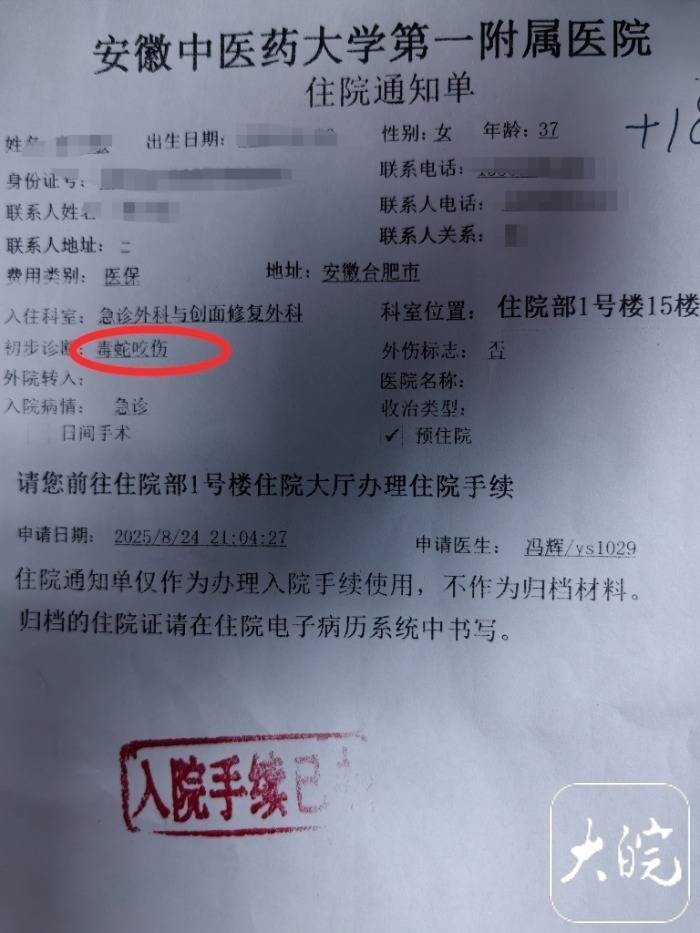 合肥一市民夜爬大蜀山被毒蛇咬伤 公园管理处呼吁:尽量避免夜间登山