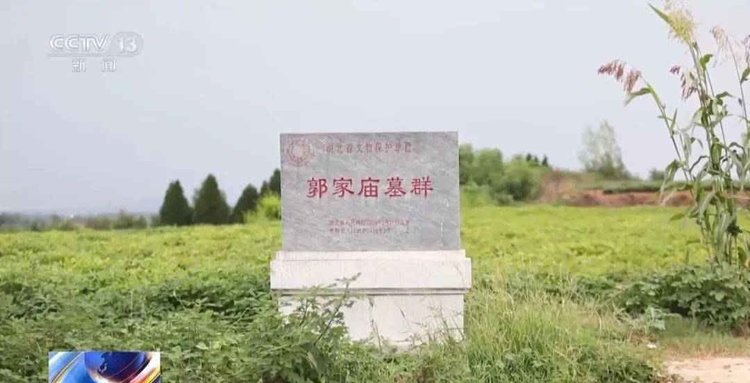 湖北警方破获特大盗墓案：嫌犯看小说学盗墓，挖走20件青铜器国宝，警方扮成“实力买家”接近，大量细节曝光