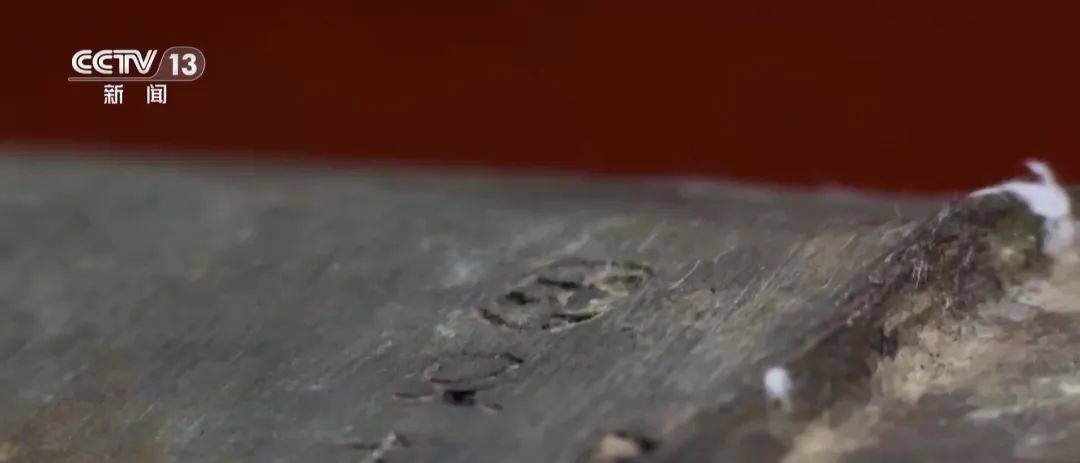 湖北警方破获特大盗墓案：嫌犯看小说学盗墓，挖走20件青铜器国宝，警方扮成“实力买家”接近，大量细节曝光