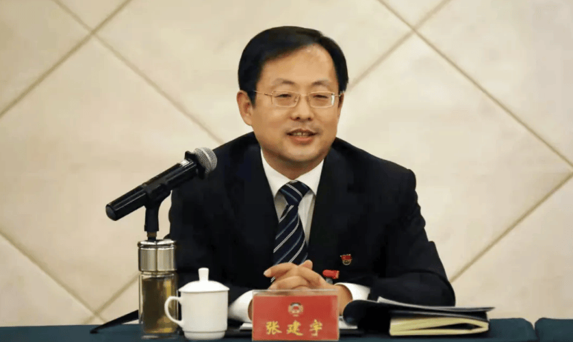 天津公示:区长张建宇,拟任区委书记