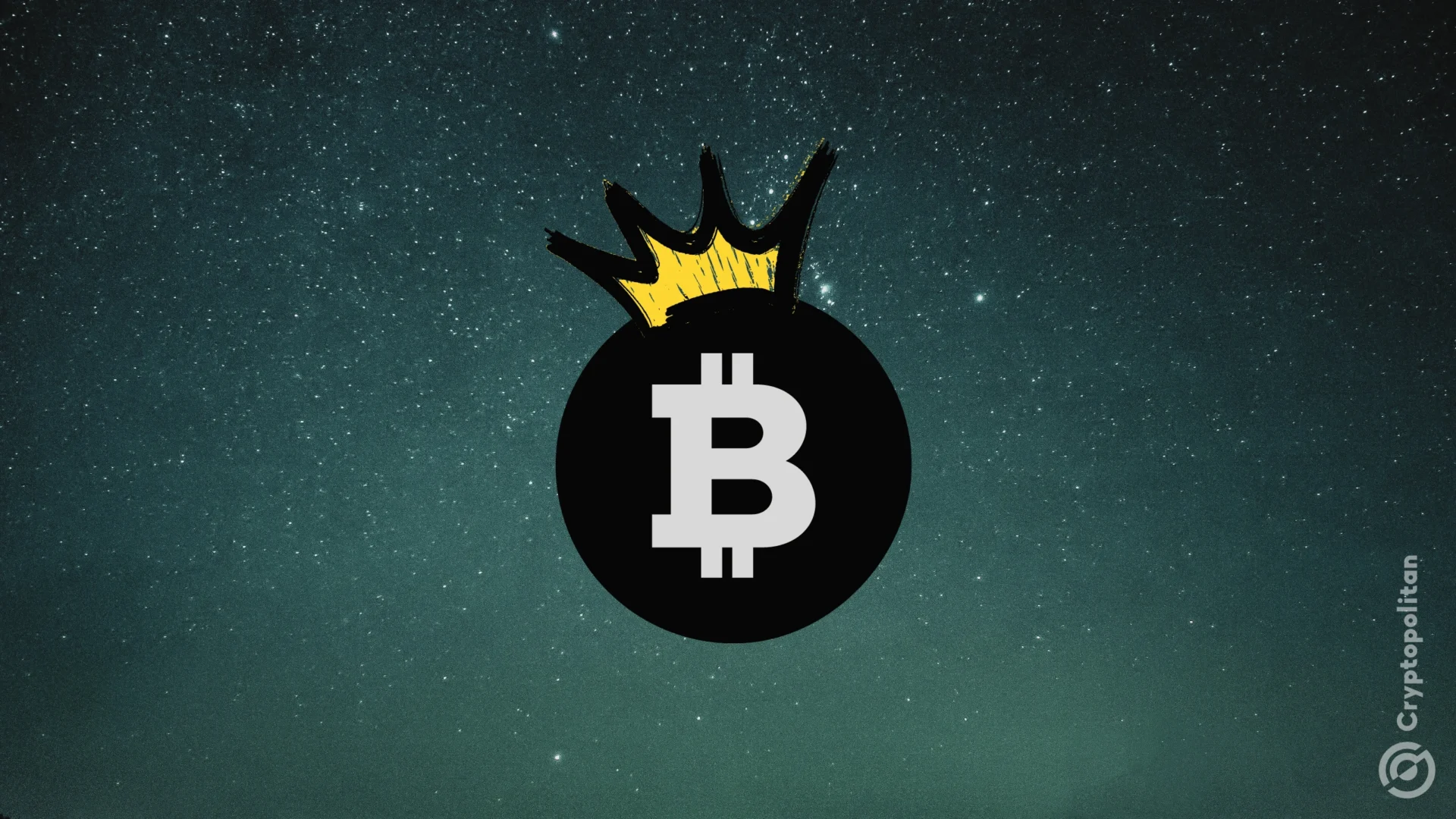 币8网(比85系列还小的指针表有哪些)