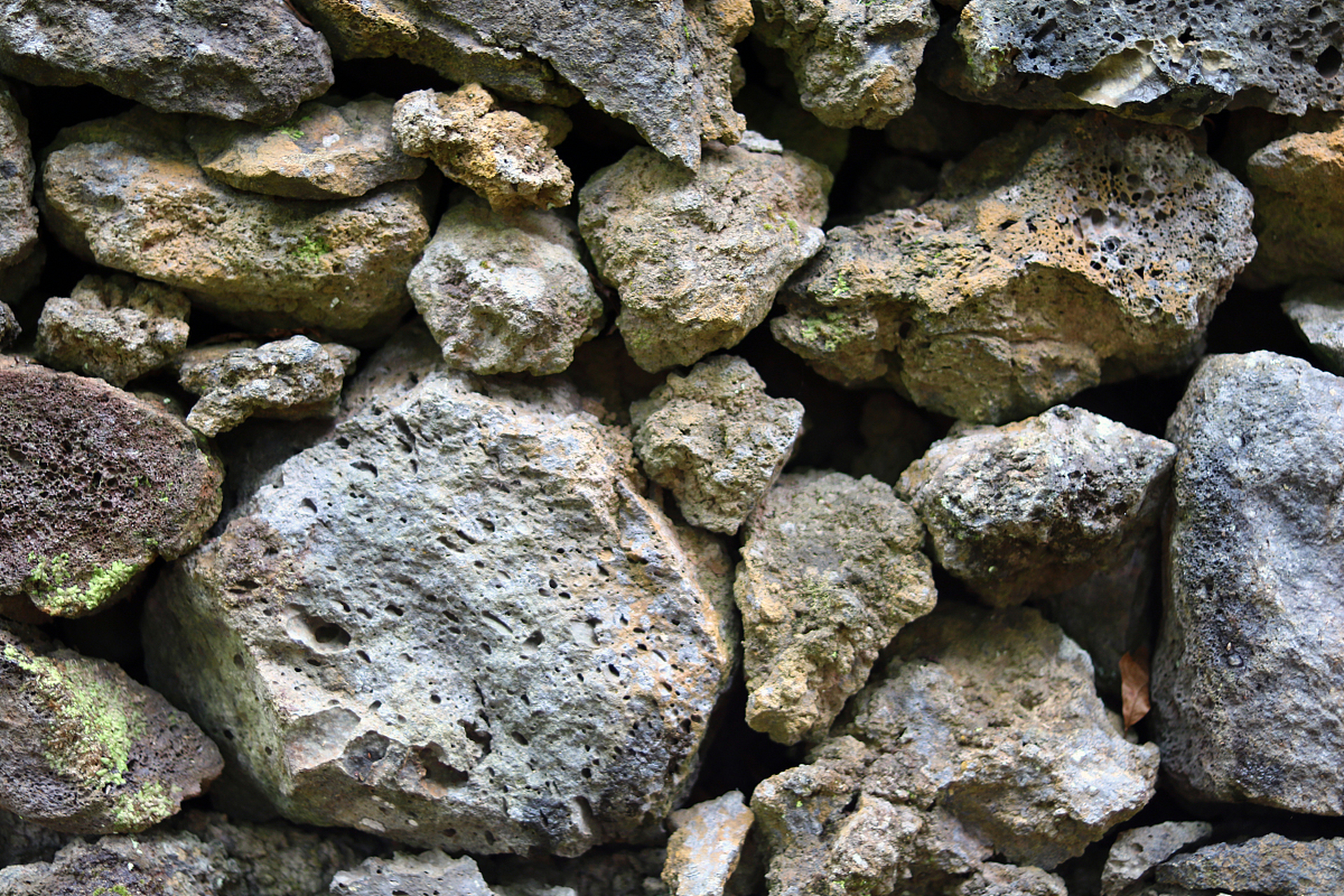 铁矿石现货(铁矿石最新期货行情)