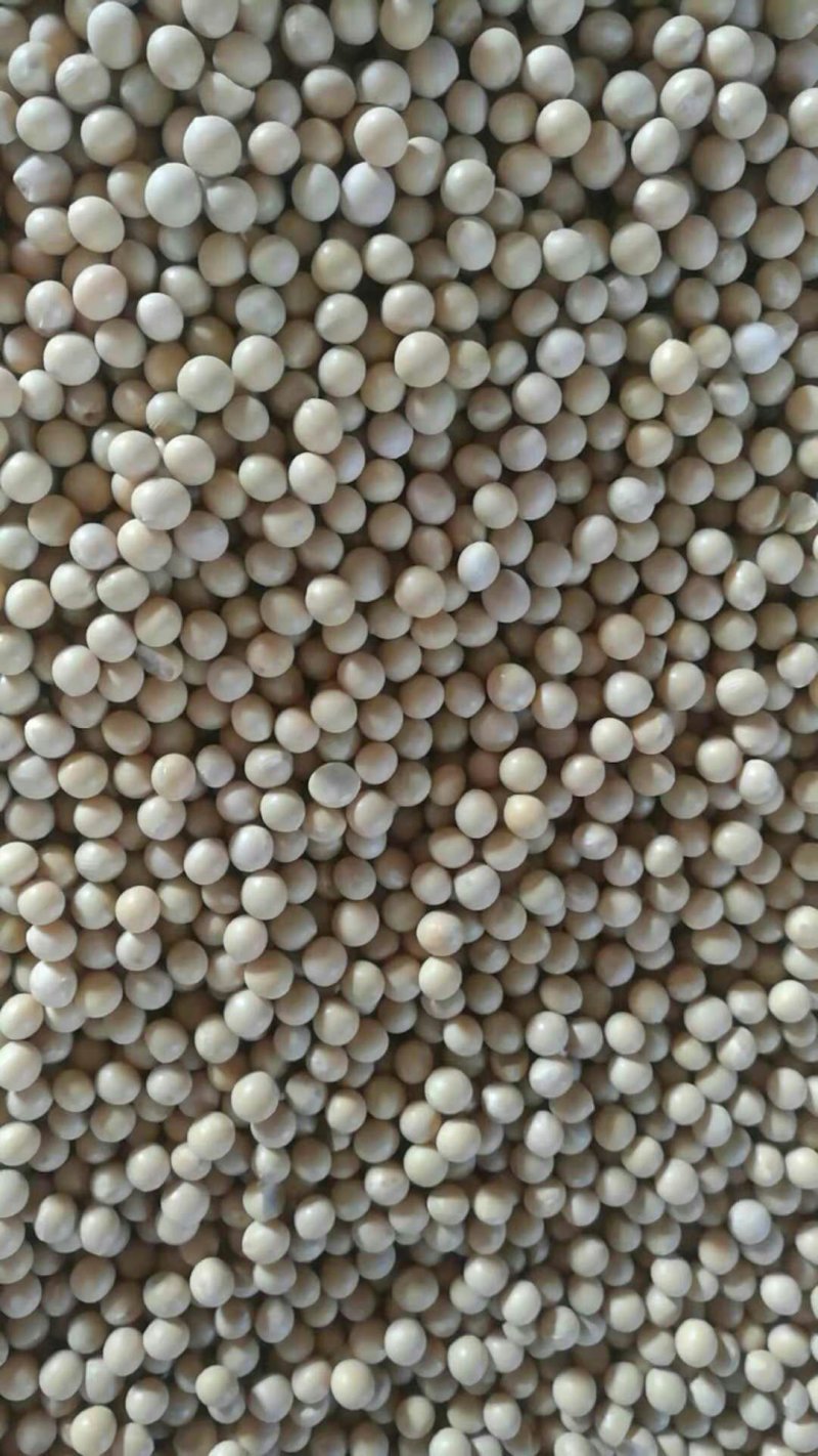 大豆现货(大豆现货交易平台)