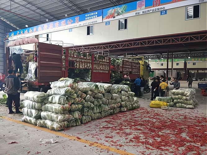 农产品现货交易(农产品现货交易做单技巧详解)